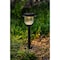 Living Accents Living Accents Black Solar Powered 0.2 W LED Pathway Light 1 pk CXJLEH300PS - alternate 2